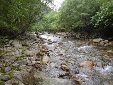 九頭竜川水系でイワナ釣り
